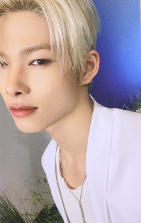 ENHYPEN - World Tour 'WALK THE LINE : FINAL' - WEVERSE POB Photocard niki