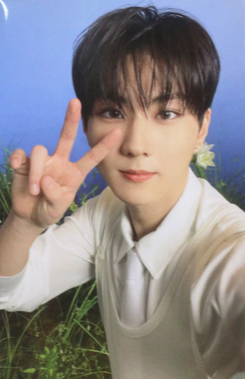 ENHYPEN - World Tour 'WALK THE LINE : FINAL' - WEVERSE POB Photocard Jungwon