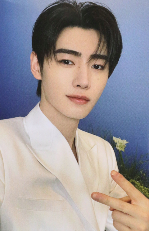 ENHYPEN - World Tour 'WALK THE LINE : FINAL' - WEVERSE POB Photocard sunghoon