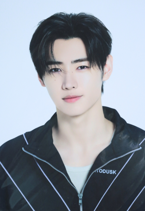 ENHYPEN LARGE PHOTOCARDS SH