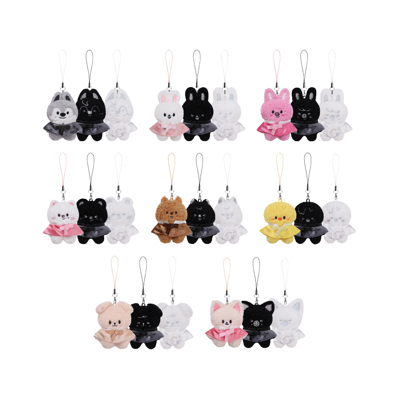 SKZOO SECRET PLUSH MICRO Ver. - RUN IT all Versions